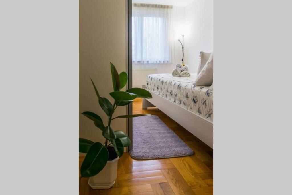 Apartment Jarun Brac Záhřeb Exteriér fotografie